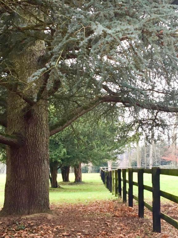 Domaine Des Ifs Bed & Breakfast Le Pin  Bagian luar foto