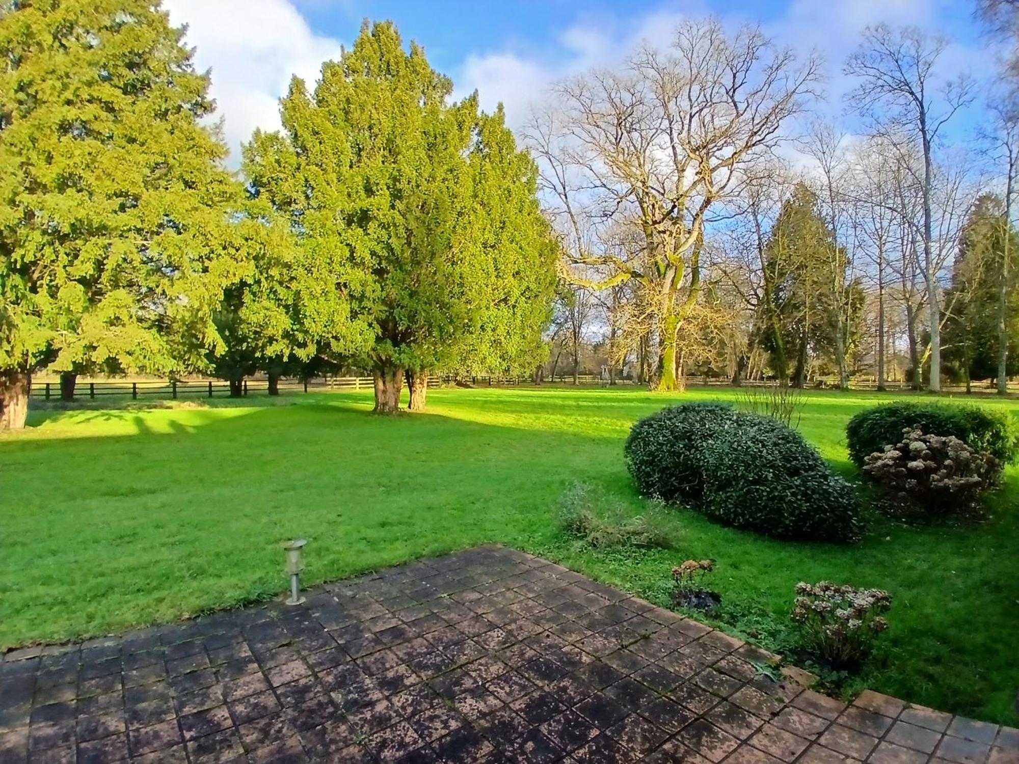 Domaine Des Ifs Bed & Breakfast Le Pin  Bagian luar foto
