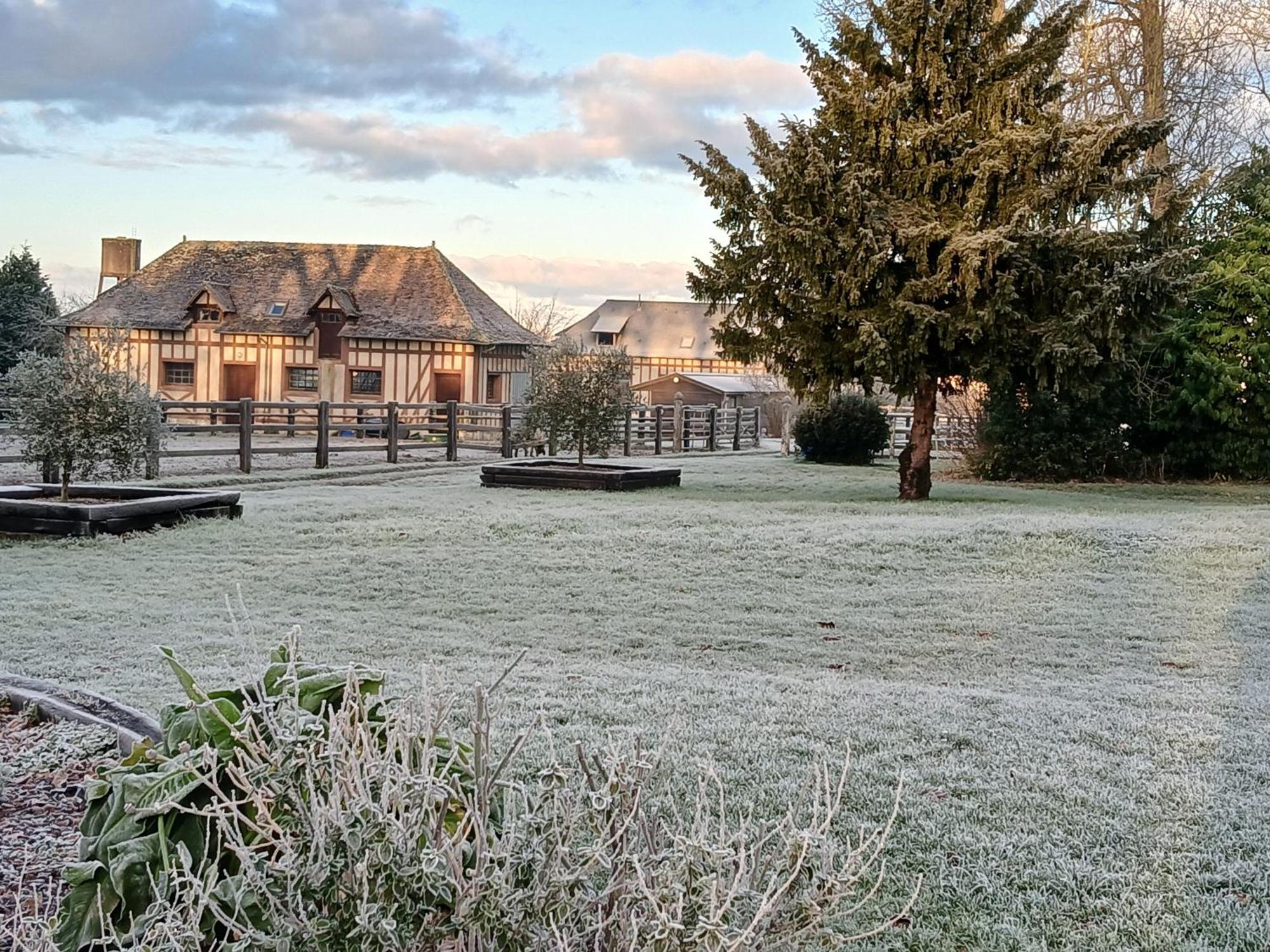 Domaine Des Ifs Bed & Breakfast Le Pin  Bagian luar foto