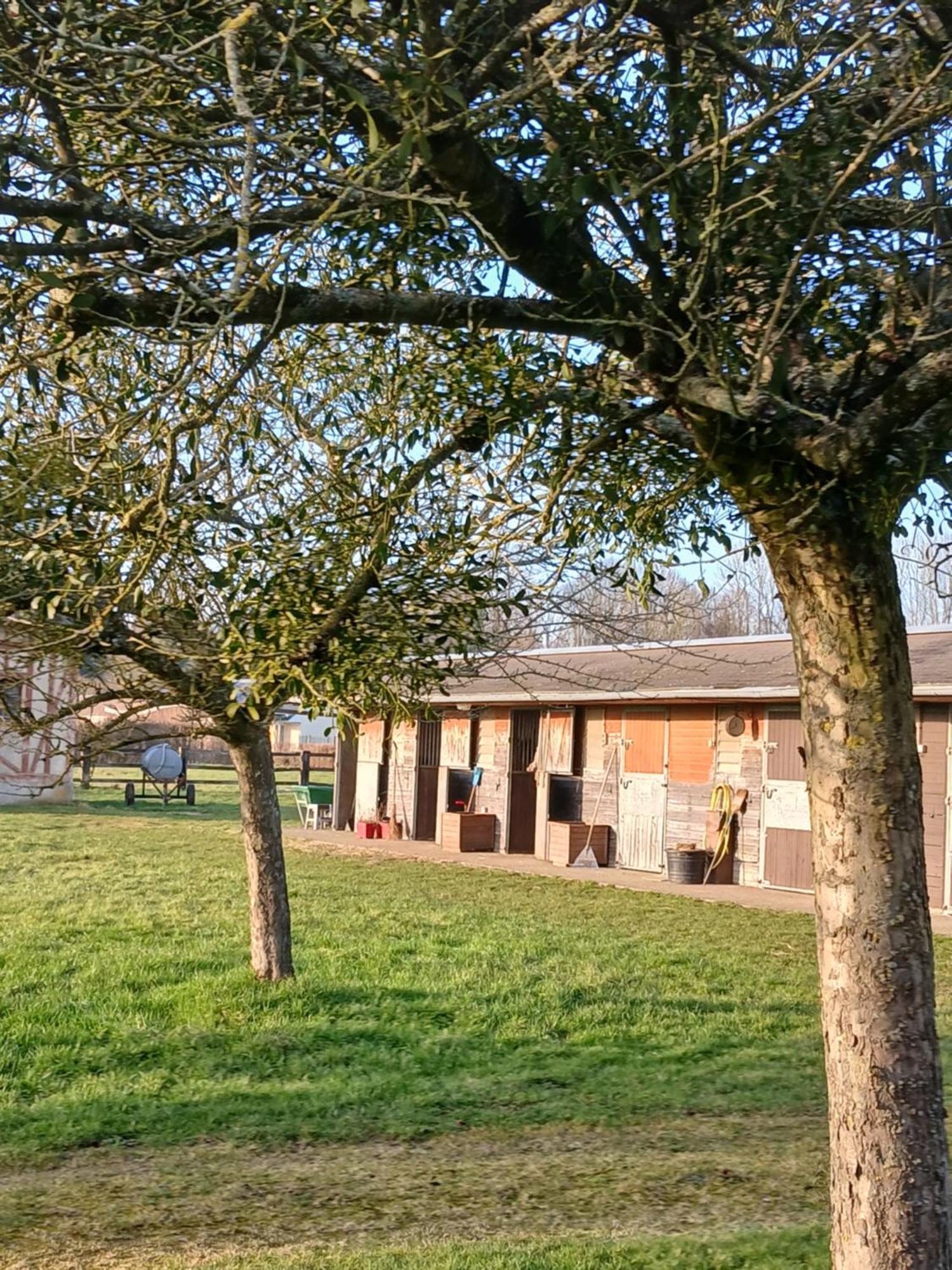 Domaine Des Ifs Bed & Breakfast Le Pin  Bagian luar foto
