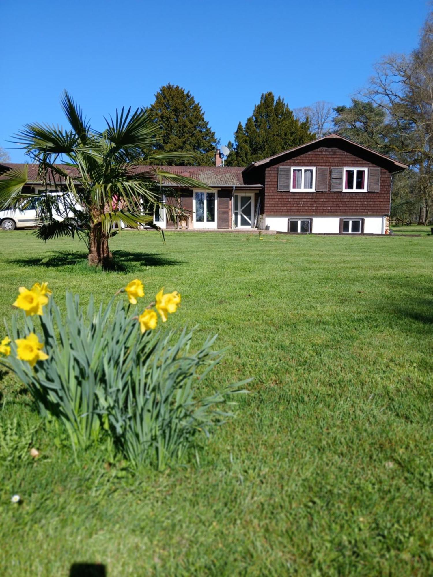 Domaine Des Ifs Bed & Breakfast Le Pin  Bagian luar foto