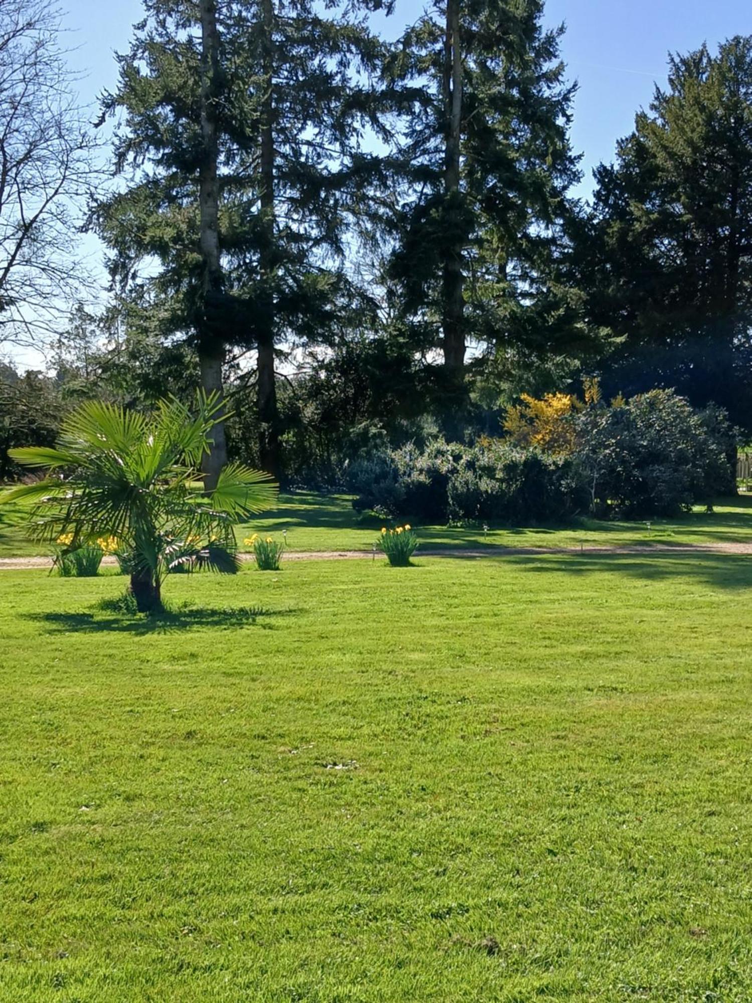 Domaine Des Ifs Bed & Breakfast Le Pin  Bagian luar foto