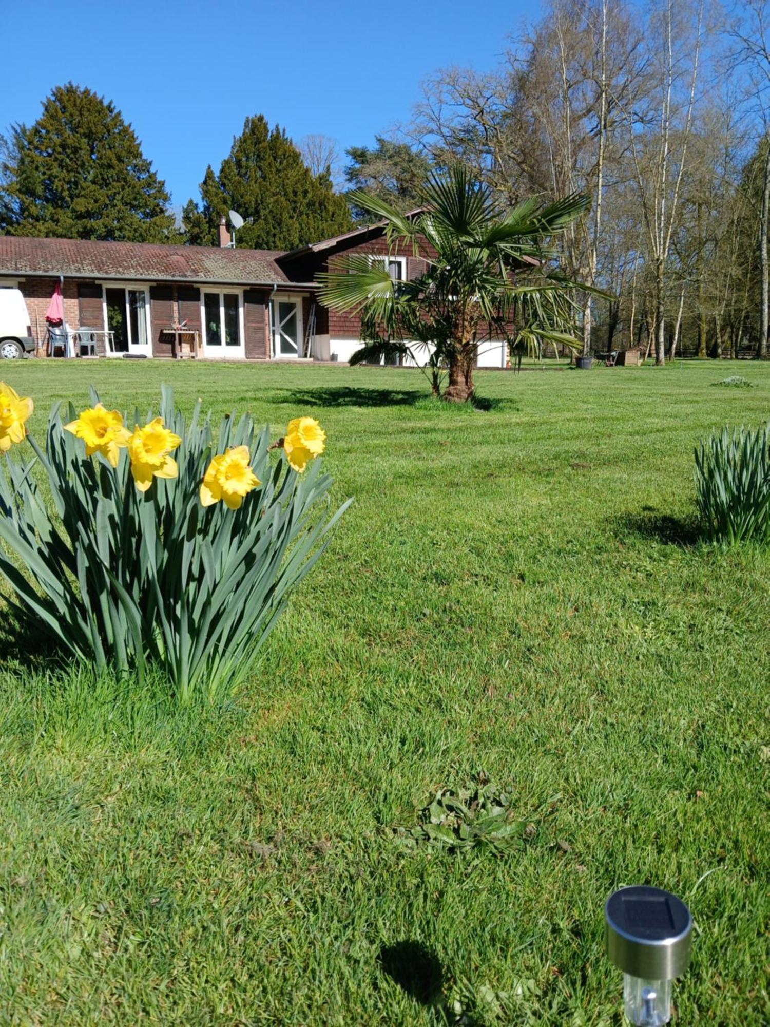 Domaine Des Ifs Bed & Breakfast Le Pin  Bagian luar foto