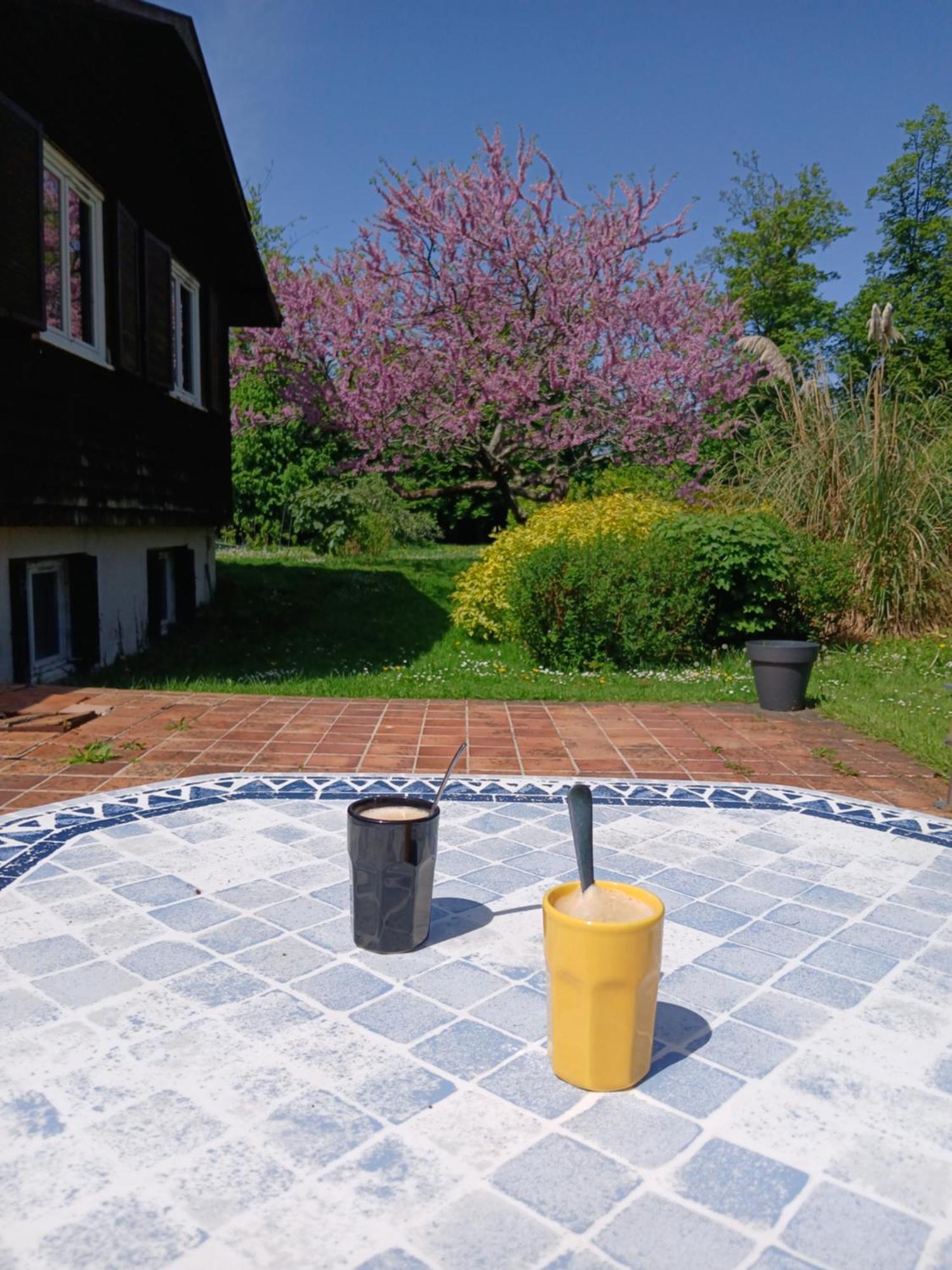 Domaine Des Ifs Bed & Breakfast Le Pin  Bagian luar foto