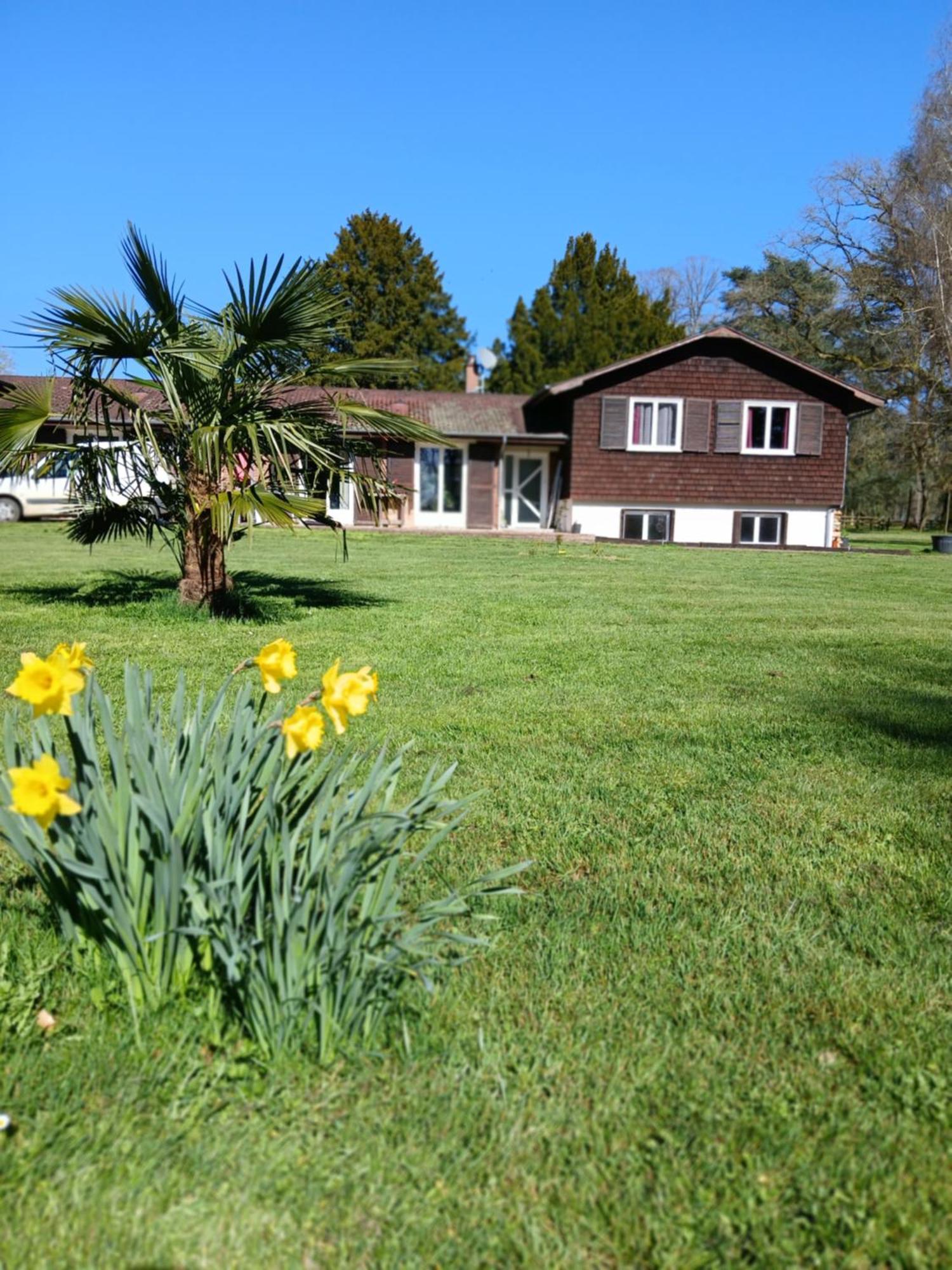 Domaine Des Ifs Bed & Breakfast Le Pin  Bagian luar foto